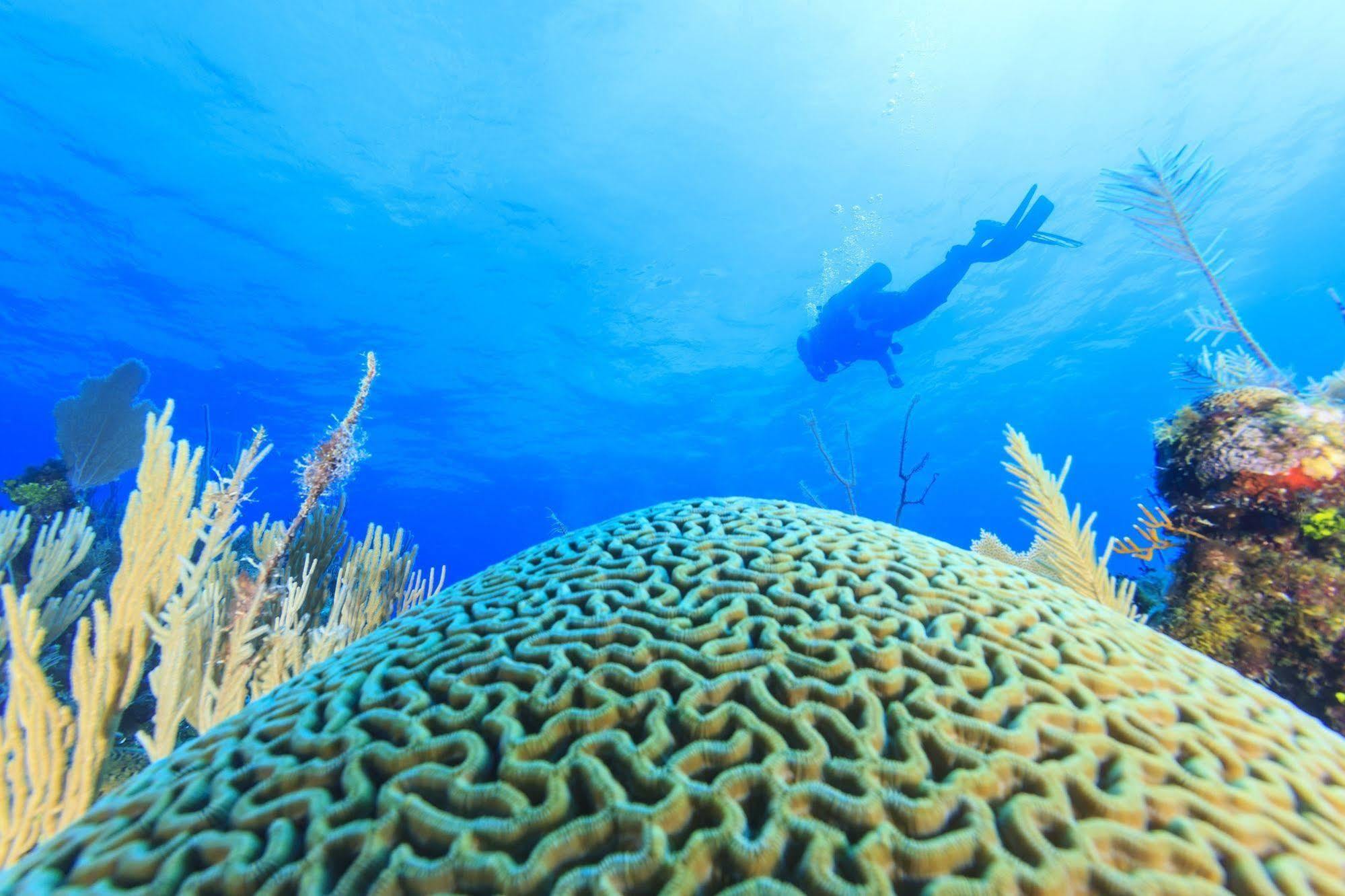 St. George'S Caye Resort Kota Belize Bagian luar foto